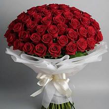 Букет 101 Красная роза Блэк Мэджик в Комсомольском Республика Дагестан