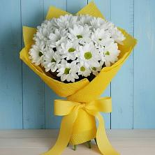 Букет цветов из:  Хризантемы в Комсомольском Республика Дагестан