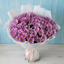 Букет цветов из:  Хризантемы в Комсомольском Республика Дагестан