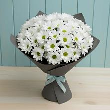 Букет цветов из:  Хризантемы в Комсомольском Республика Дагестан