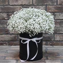 Цветочная композиция из Гипсофила в шляпной коробке в Комсомольском Республика Дагестан