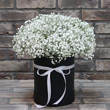 Цветочная композиция из Гипсофила в шляпной коробке в Комсомольском Республика Дагестан
